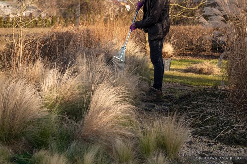 Wyczesywanie trawy w ogrodzie