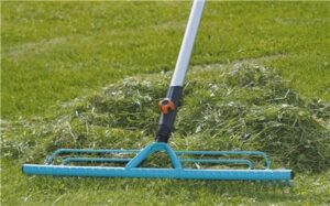 Wyczesywanie trawy – kompleksowy przewodnik do zdrowego i estetycznego ogrodu