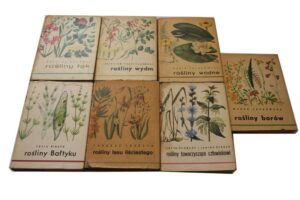 Jakie rośliny towarzyszące najlepiej posadzić obok juki ogrodowej?