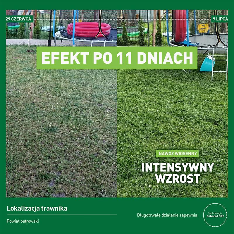 Nawożenie trawnika na wiosnę