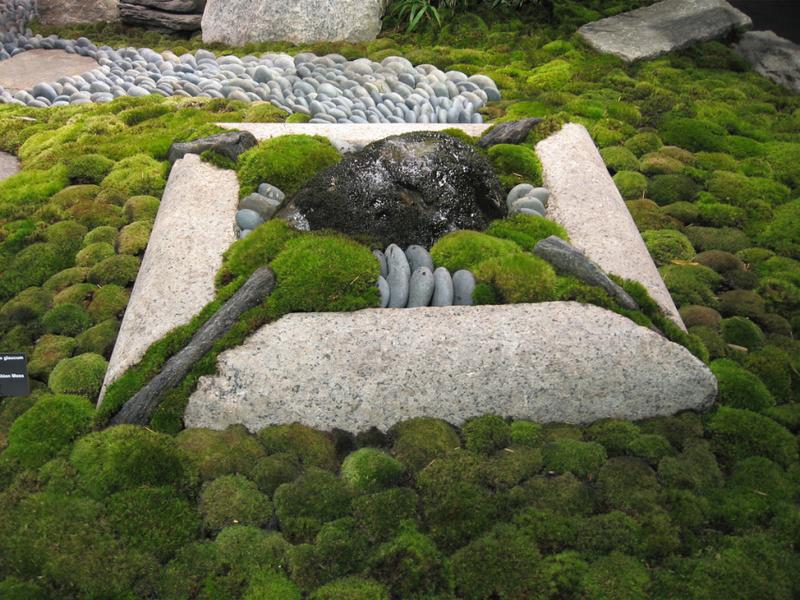 Pozbywanie się mchu