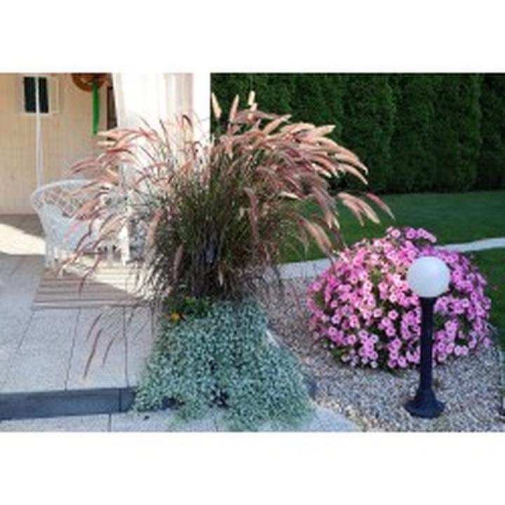 Przygotowanie gleby pod trawę