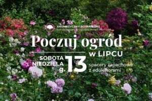 Odkryj sekrety aromatów: zapach trawy i jego magia w twoim ogrodzie