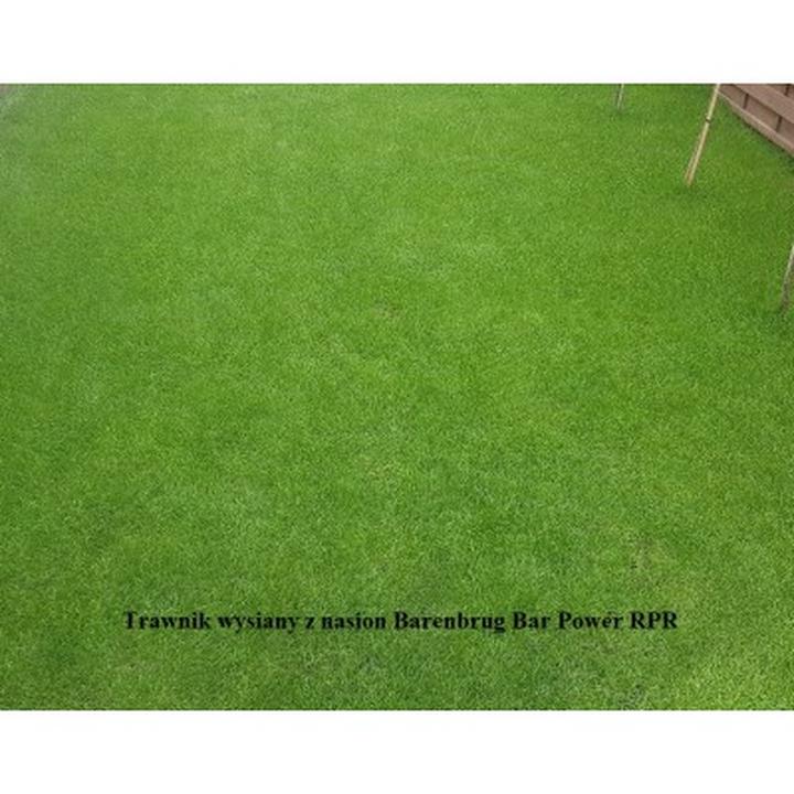 Odkryj sekrety doskonałego trawnika z nasion elitarnych Barenbrug