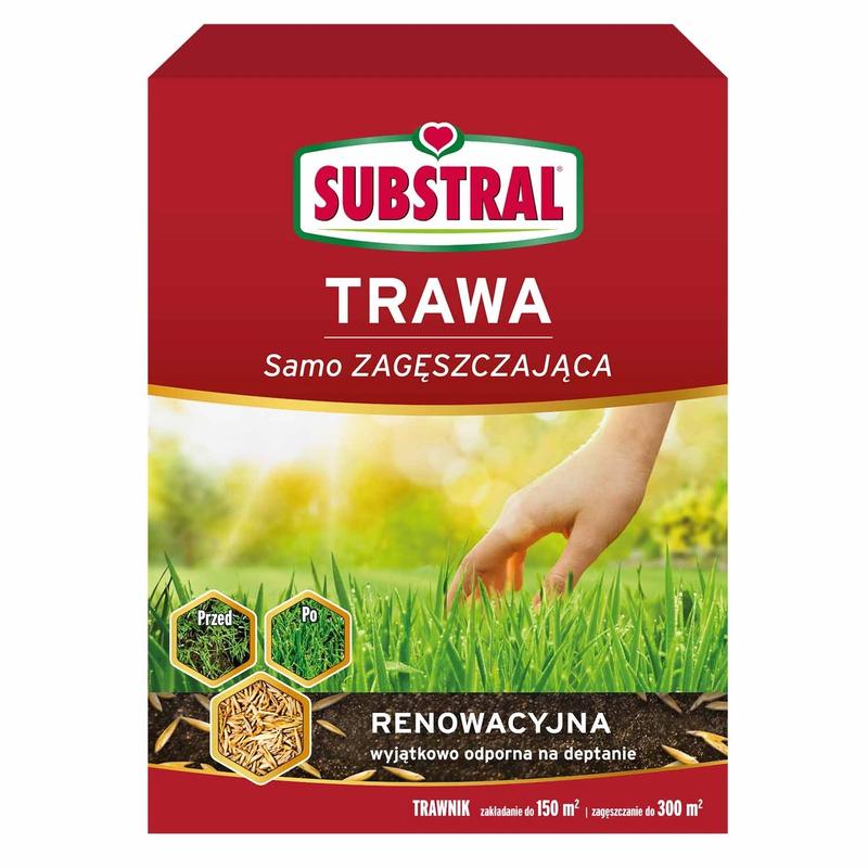 Aranżacje ogrodowe