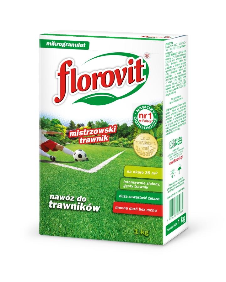 Pielęgnacja trawnika