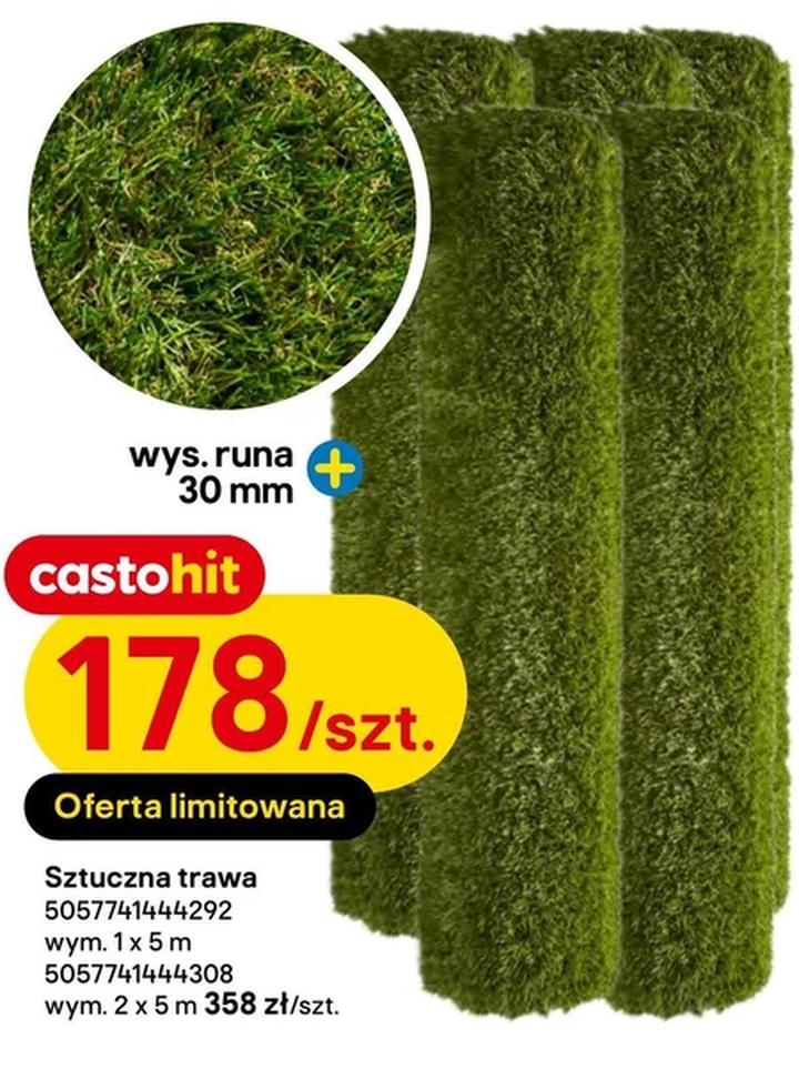 Pielęgnacja trawnika
