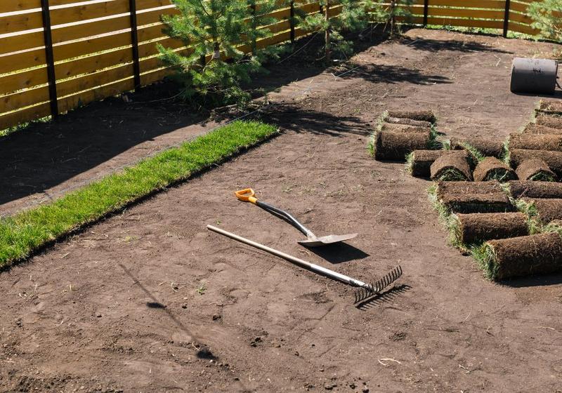 Zakładanie trawnika