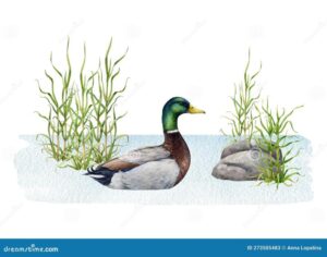 Jak poprawić jakość życia z chorobą jak trawa krzyżówka – sprawdzone metody i porady