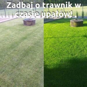 Jak w prosty sposób uratować trawnik: najlepsze metody i praktyczne wskazówki dla każdego ogrodnika