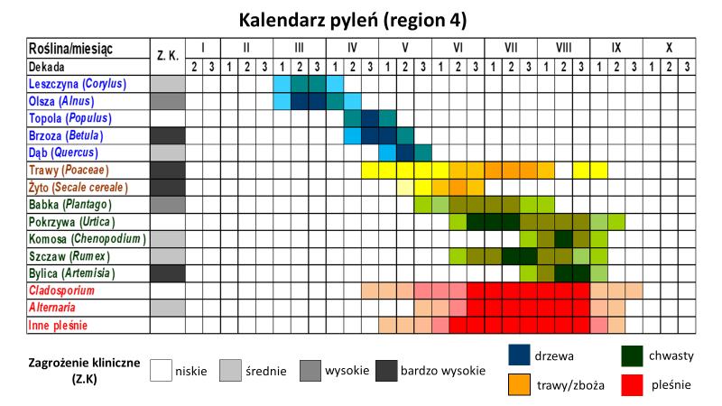 Kiedy zaczyna się sezon pylenia traw? Kompleksowy przegląd wpływu na alergie