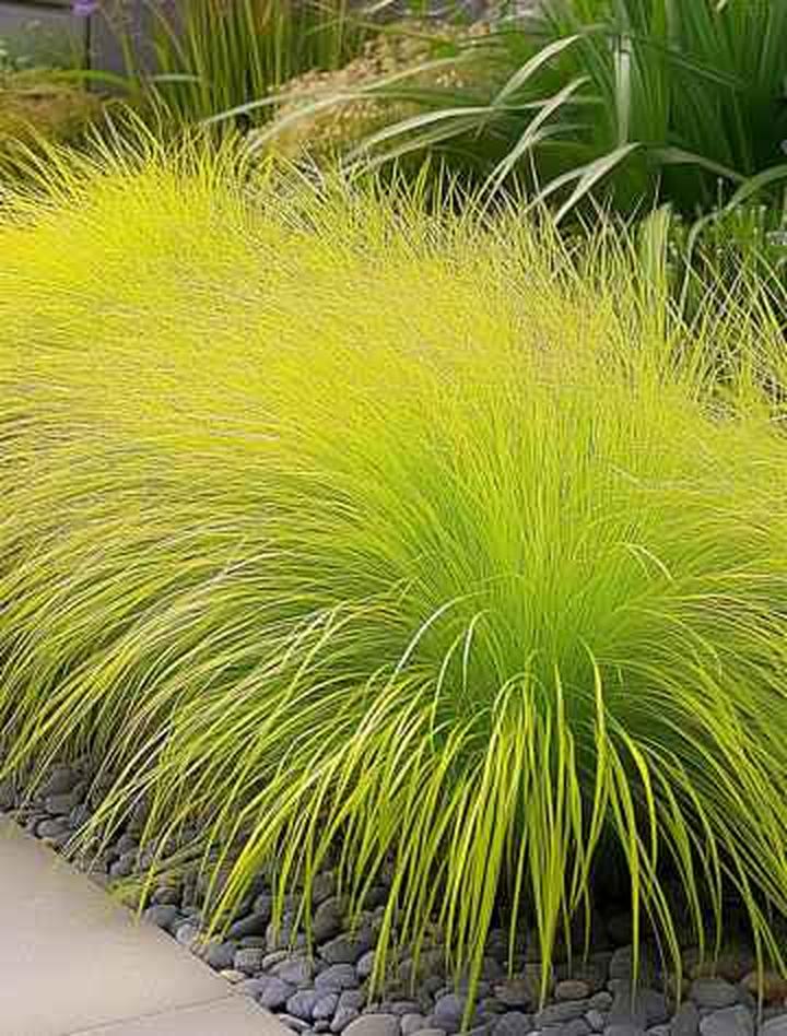 Ekologia i bioróżnorodność w ogrodzie