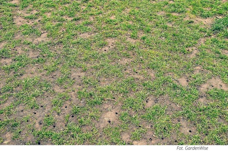 Pory roku na dosiewanie