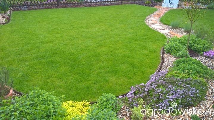 Zielona przestrzeń na glinie