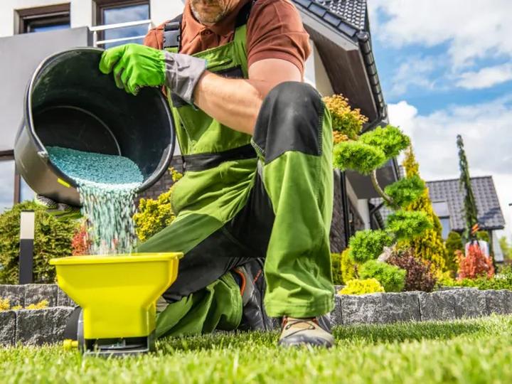 Jak często nawozić trawnik? Kompleksowy przewodnik dla miłośników zieleni