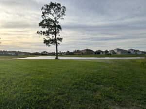 Przygotuj swój trawnik na zimę: praktyczne wskazówki, które musi znać każdy ogrodnik