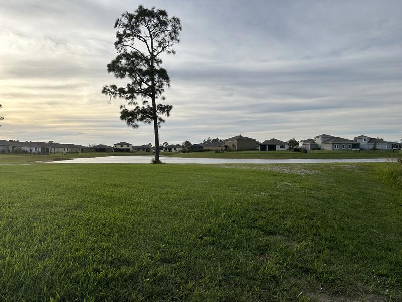 Przygotuj swój trawnik na zimę: praktyczne wskazówki, które musi znać każdy ogrodnik