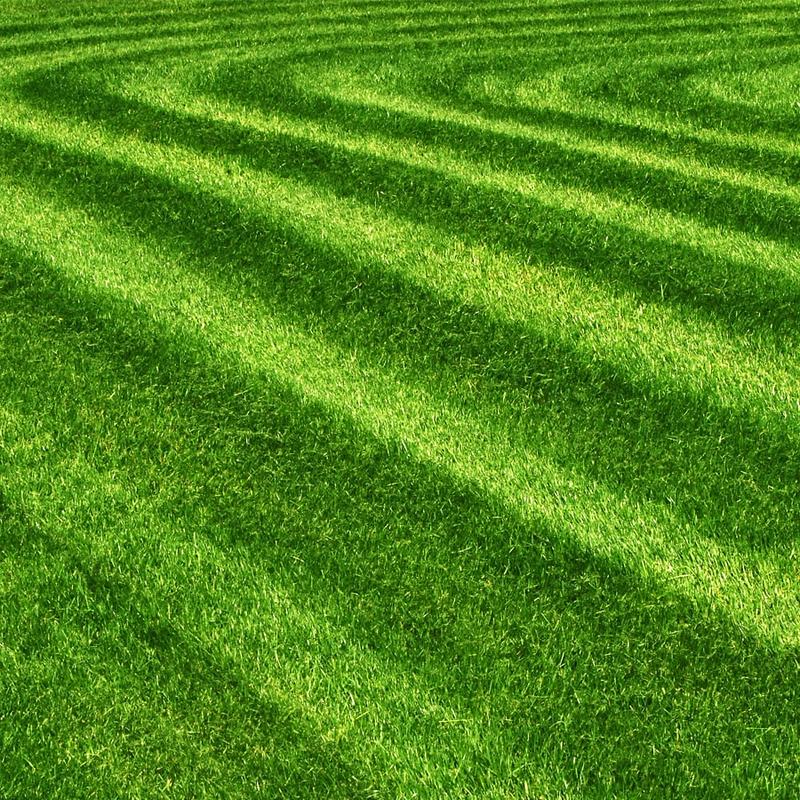 Narzędzia do przycinania trawnika