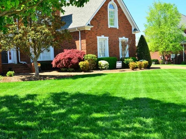 Pielęgnacja trawnika i estetyka ogrodu