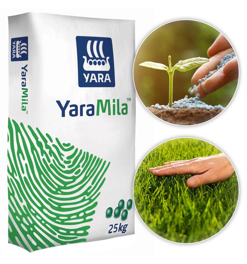 Pielęgnacja trawnika