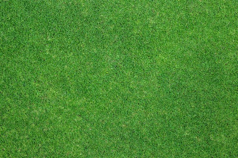 Przycinanie trawy przy krawężniku