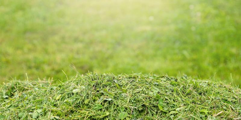 Techniki mulczowania