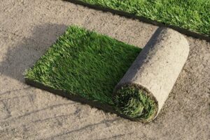 Ile kosztuje trawa z rolki? Poradnik dla hobbystów ogrodowych krok po kroku