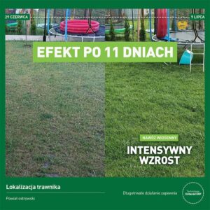 Kiedy kosić trawę po nawożeniu? Kompletne wskazówki i najlepsze praktyki, które musisz znać!