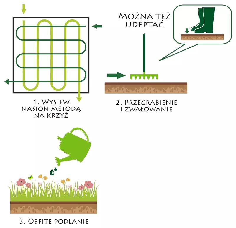 Kiedy siać trawę na polu? Ekspert podpowiada skuteczne metody!