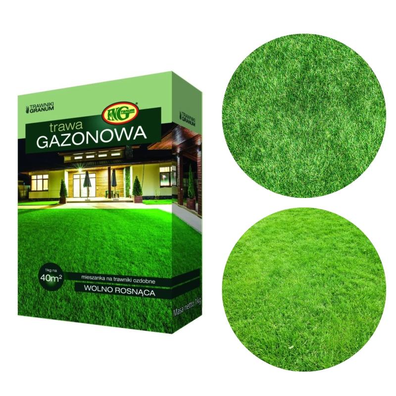 Trawa gazonowa – co warto wiedzieć i jak ją prawidłowo pielęgnować?