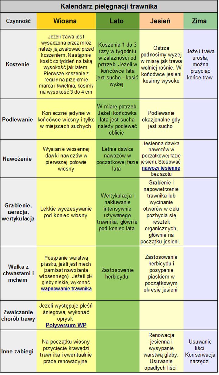 Aeracja i podlewanie trawnika