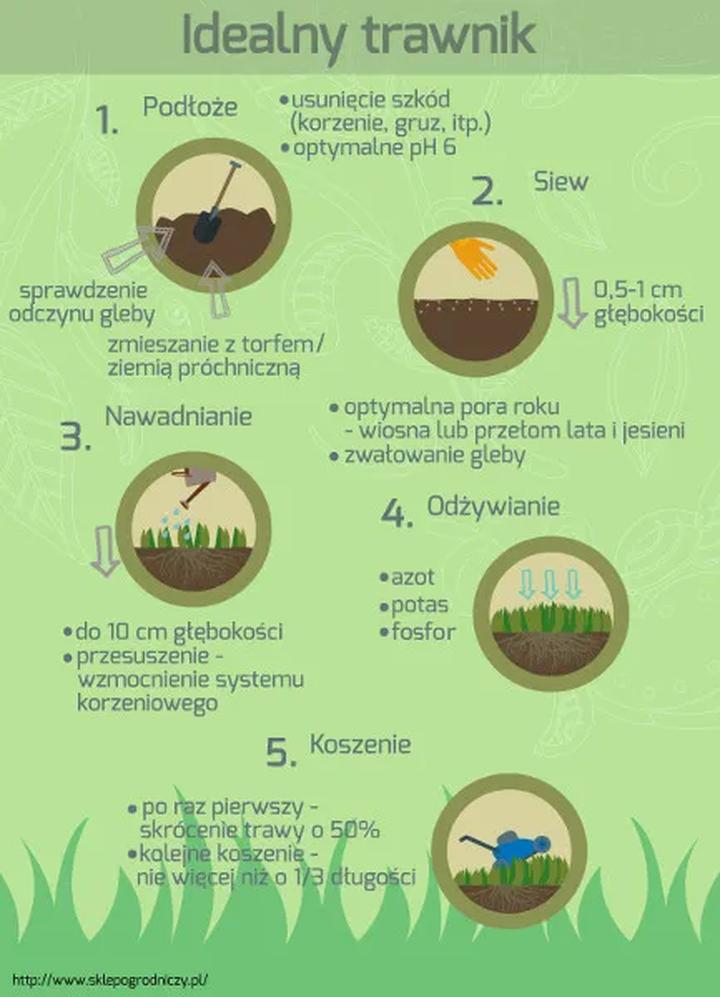 Naturalne nawożenie trawnika