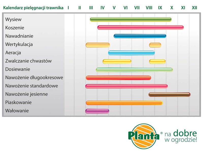 Nawożenie trawnika i dobór nawozów