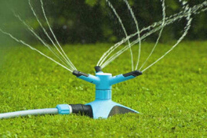 Optymalne pory podlewania