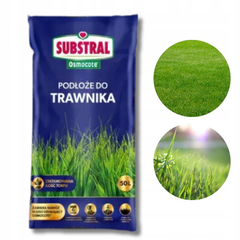 Jak dobrze wybrać ziemię pod trawnik? Kompleksowy przewodnik dla każdego ogrodnika