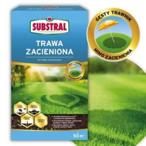 Jak wybrać idealny gatunek trawy na zacienione miejsca w twoim ogrodzie?