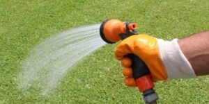 Praktyczne wskazówki: Kiedy i jak podlewać trawę po zasianiu?