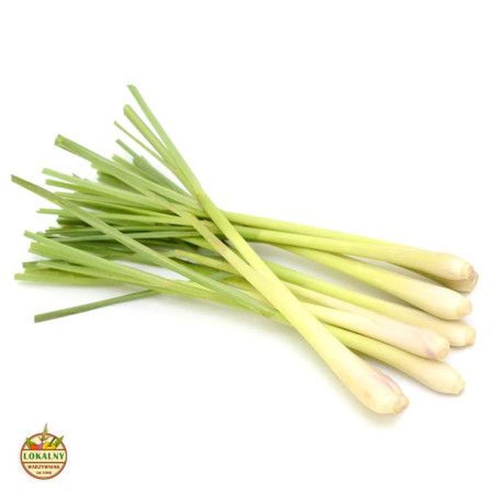 Uprawa trawy cytrynowej w domu