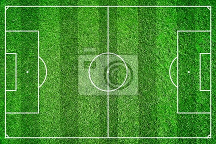 Koszty murawy piłkarskiej