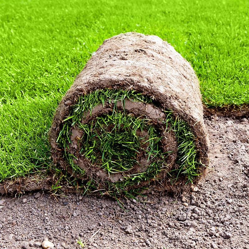 Naturalne zwalczanie chwastów