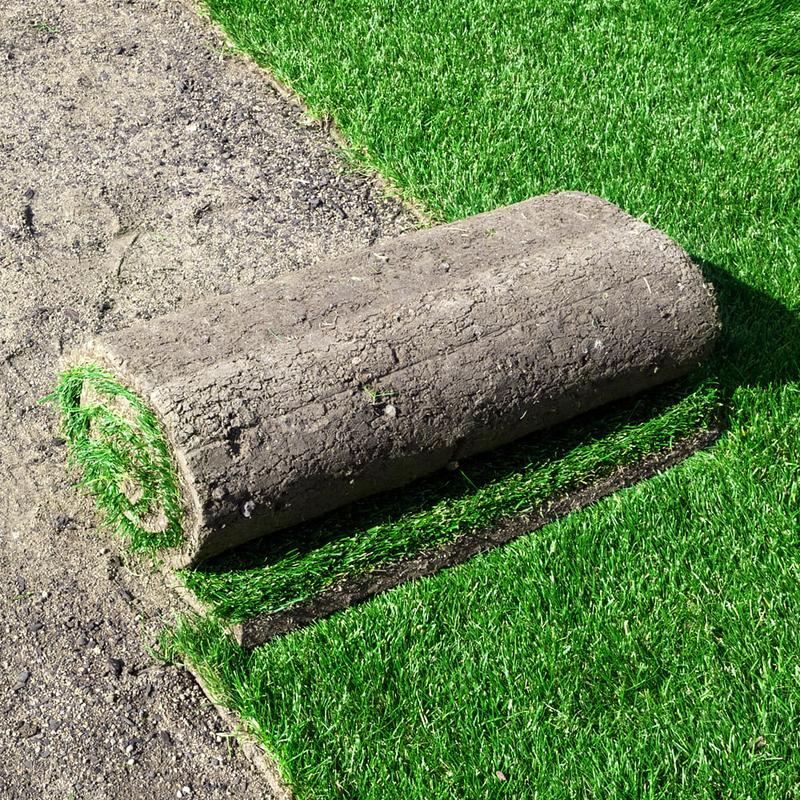 Zalety trawy z rolki