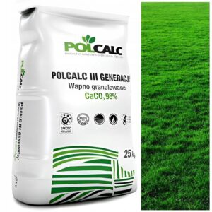 Jakie wapno wybrać do trawnika? Kompletna instrukcja pielęgnacji zielonej przestrzeni