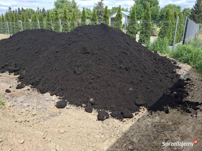 Korzeniowanie trawnika i gleba