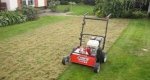 Kiedy wertykulacja trawnika jest najlepszym rozwiązaniem? Optymalne porady dla twojego ogrodu