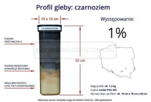 Optymalna głębokość czarnoziemu pod trawnik – ile cm dla zdrowego korzeniowania?
