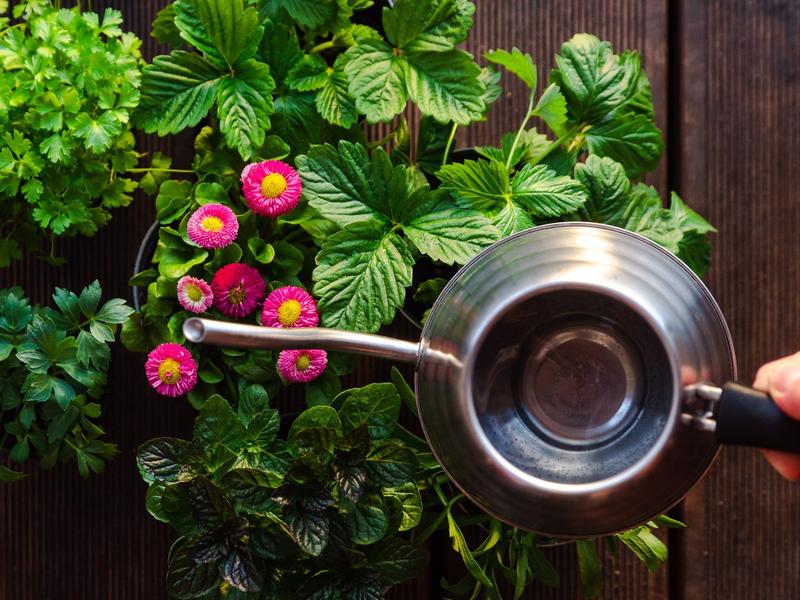 Ekologiczne rozwiązania do kuchni