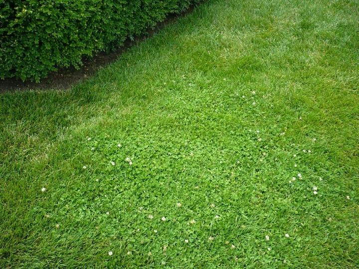 Maszyny i akcesoria ogrodowe