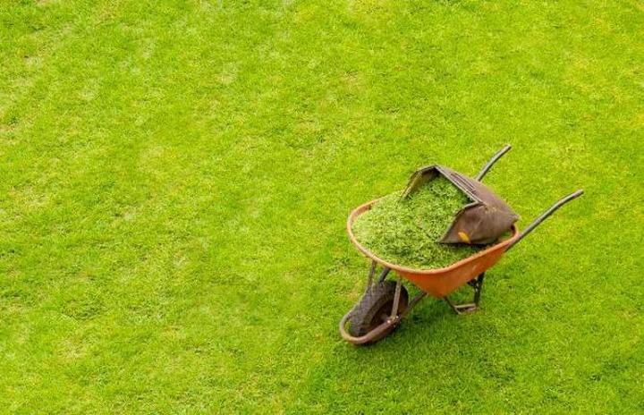 Nawadnianie i nawożenie trawy