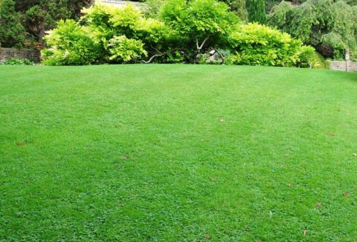 Planowanie powierzchni trawnika