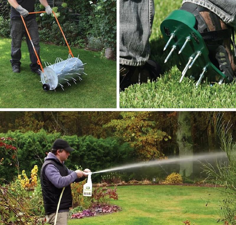 Regeneracja trawnika wiosną